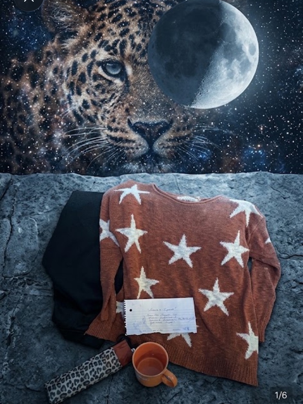 Ed Hardy umbrella Rust Orange Star Knit Sweater pants med mug stars and leopard